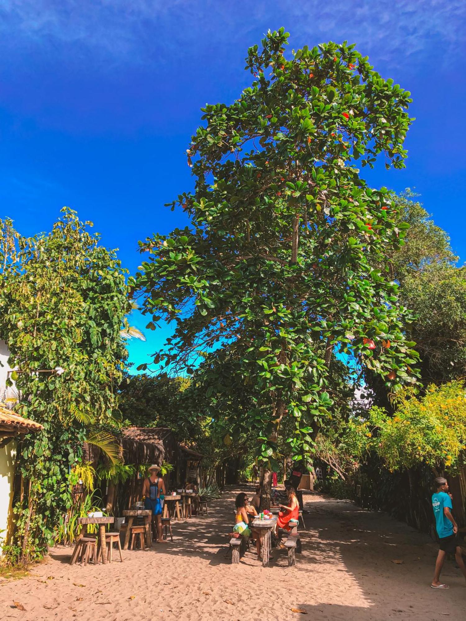 Pousada Villa Esperanca - Xando - Caraiva Ba Exteriér fotografie